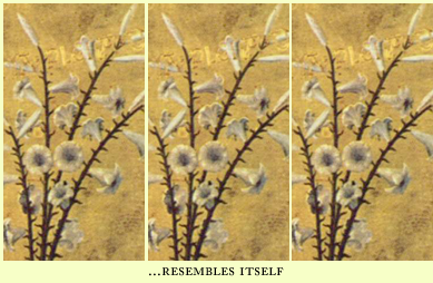 resembles itself